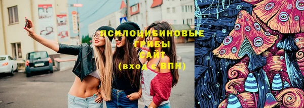mdma Няндома