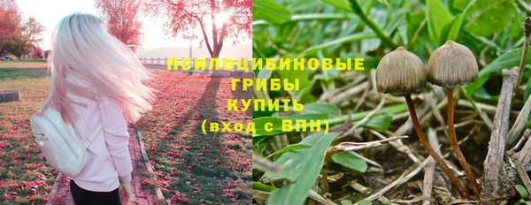 первитин Нязепетровск