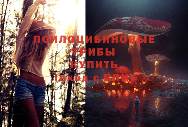 первитин Нязепетровск