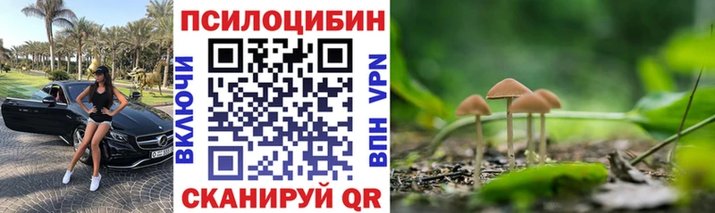 где купить наркоту  Оха  Псилоцибиновые грибы MAGIC MUSHROOMS 